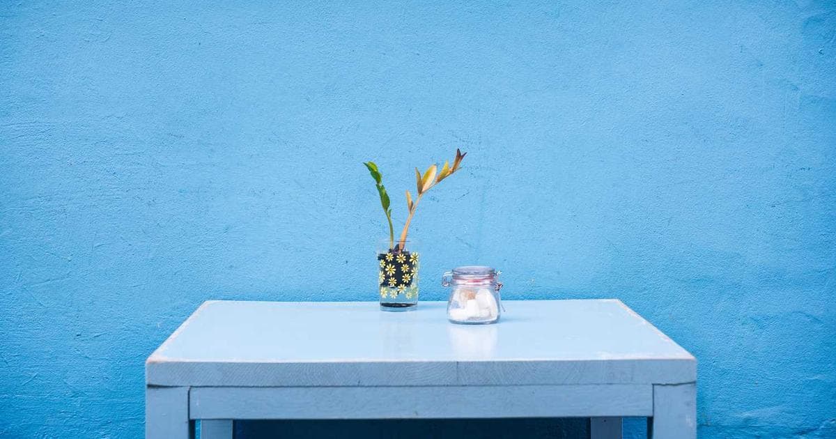 Elegant street view or luxury property in Boca Raton, Florida