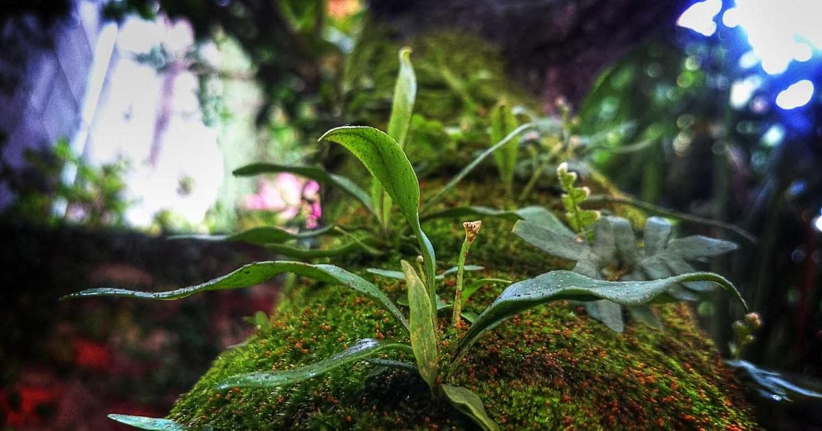 Homestead, FL title services for homes and agriculture