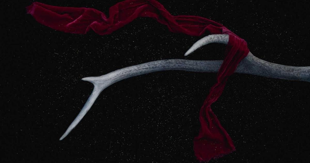 Professional conducting a title search